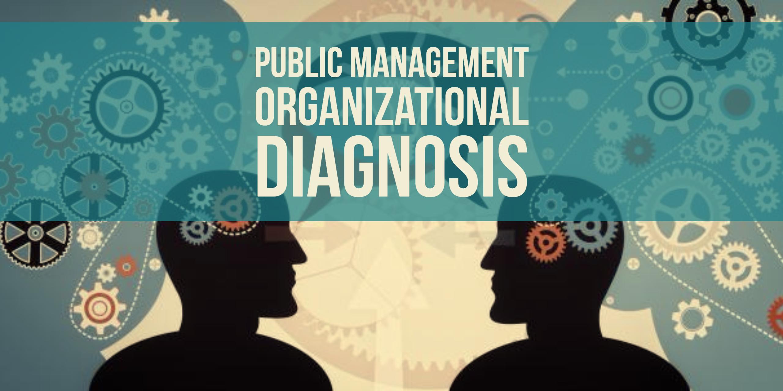 Organizational Diagnosis