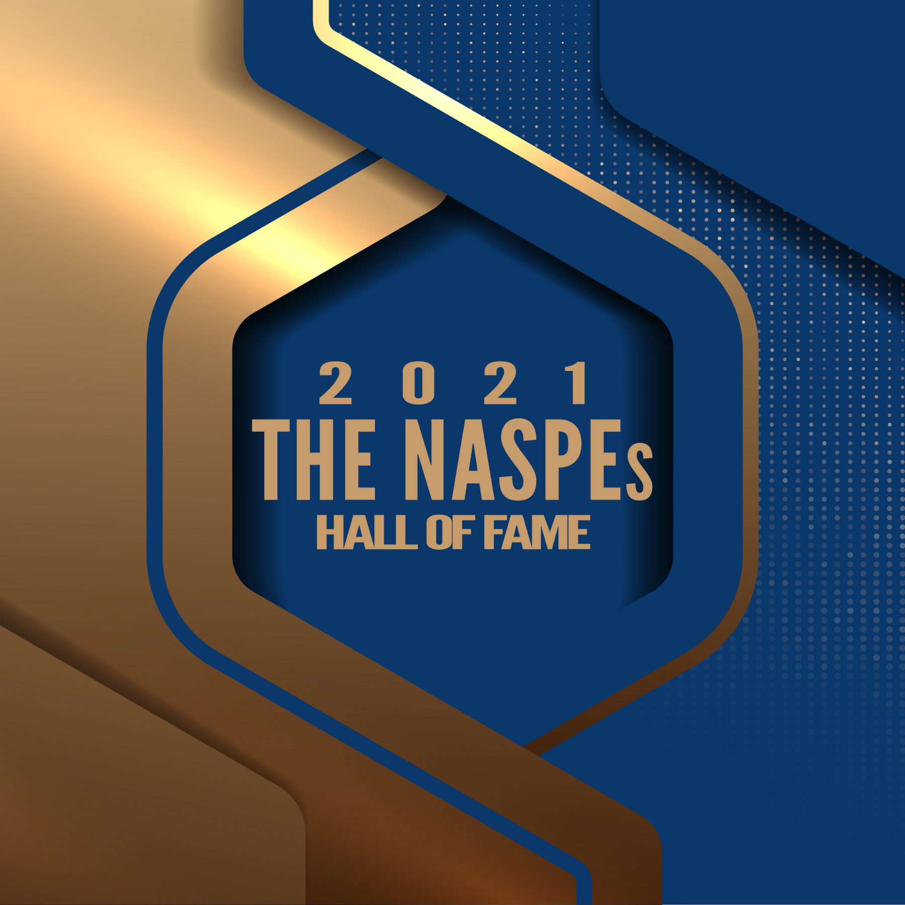 naspes award program logo